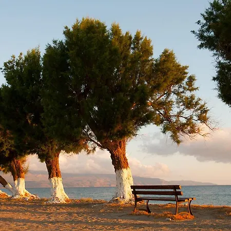 Hotell Albatross 3*